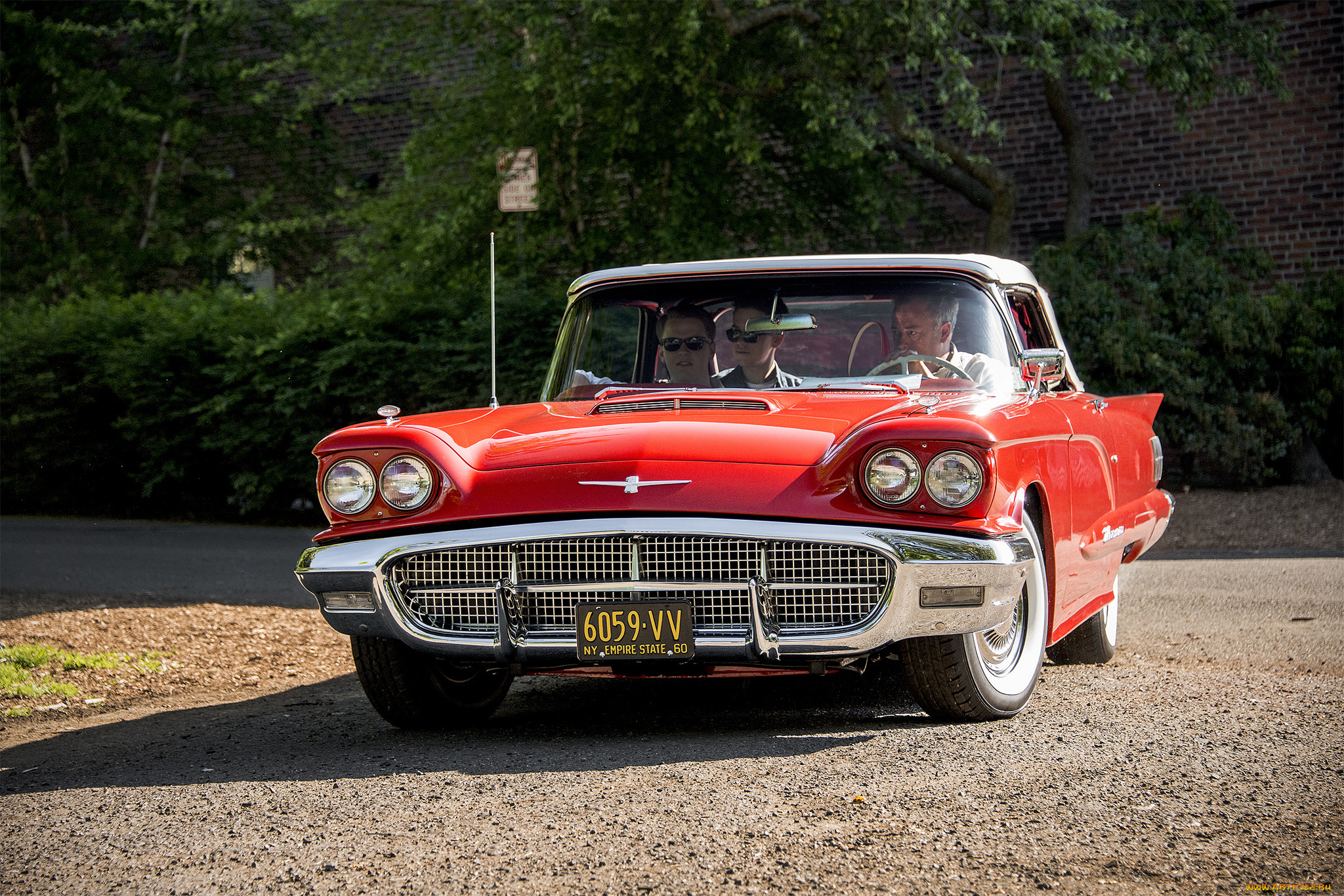 ford thunderbird, , ford, , , 